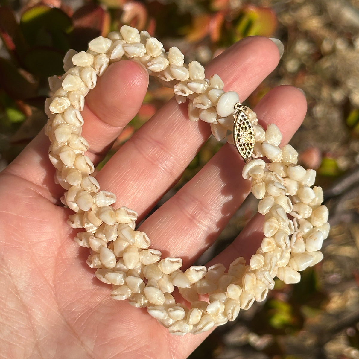 Lei_2_1200x1200.jpg?v=1722823626