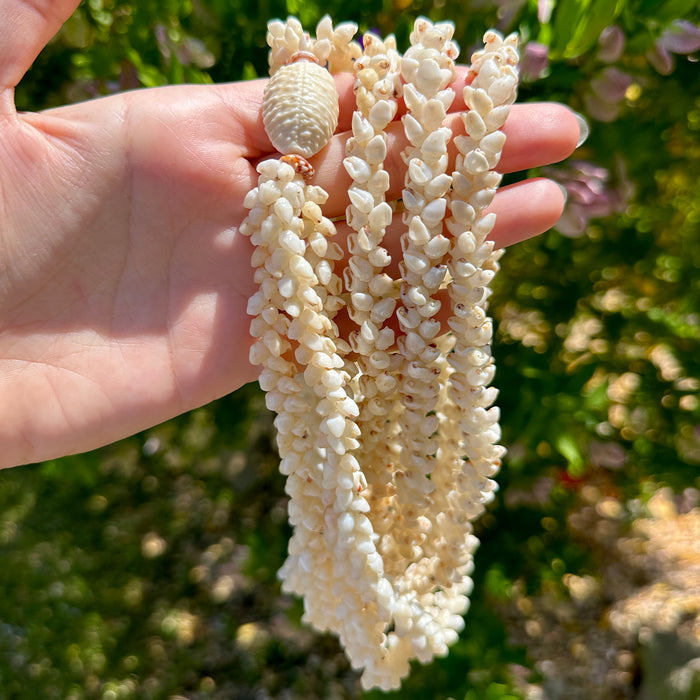 For Carol - Second Custom Restringing Ni'ihau Shell Necklace