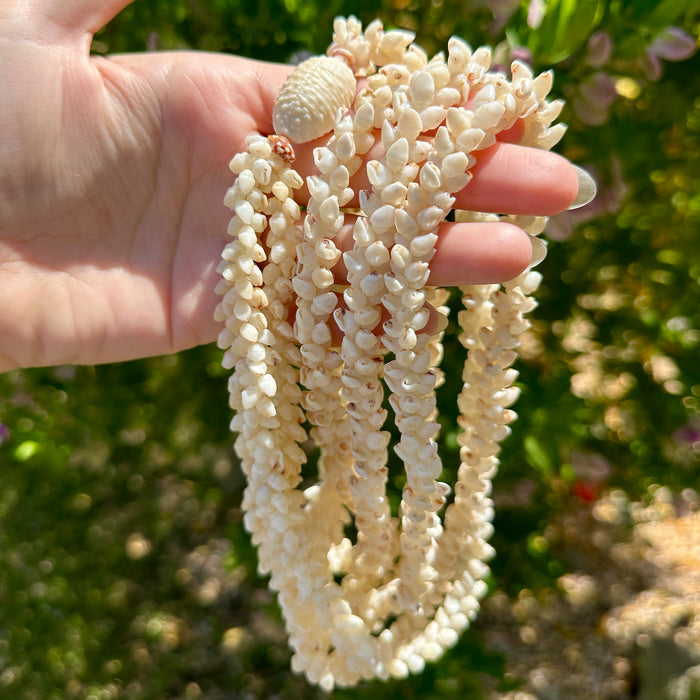 For Carol - Second Custom Restringing Ni'ihau Shell Necklace