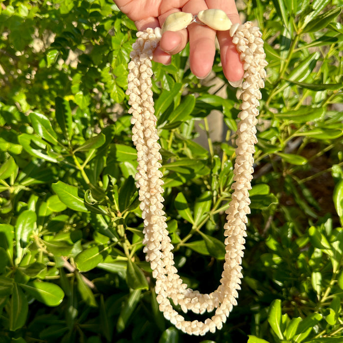 For Kim - Custom Restringing Ni'ihau Shell Necklace