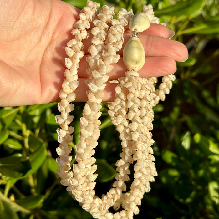 For Kim - Custom Restringing Ni'ihau Shell Necklace