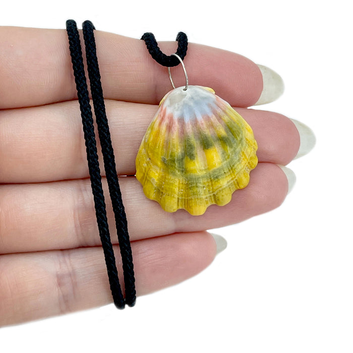 Sunrise Shell O'ahu Kumihimo Braided Black Silk Necklace-Sterling Silver