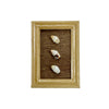 Laiki Rice Shell Ni'ihau Hawaii Miniature Tan Wood Display Frame Collectable Handmade