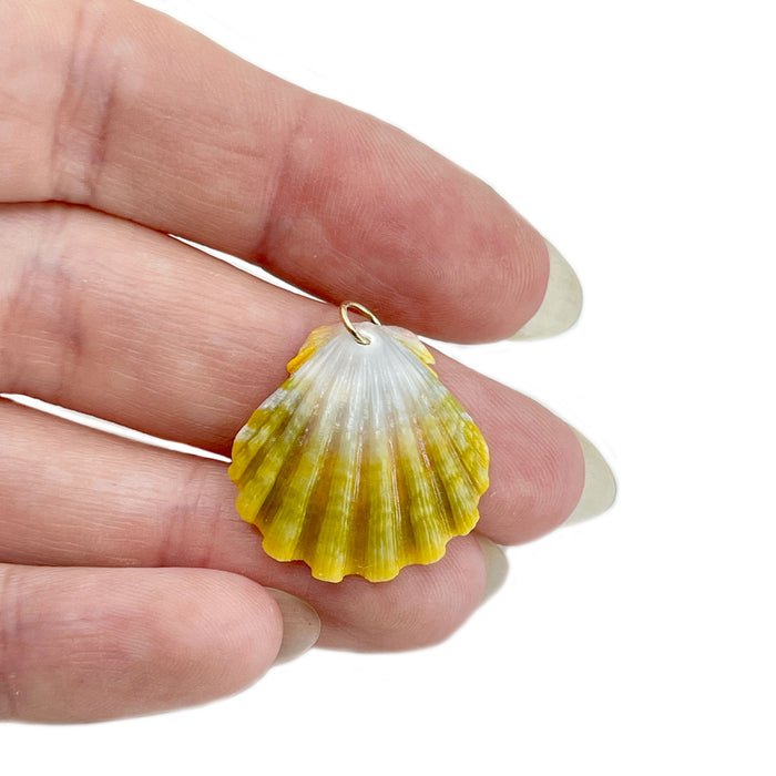 Small Moonrise Solid Gold Bail Green Sunrise Shell O'ahu Pendant Necklace - 14K Yellow Gold