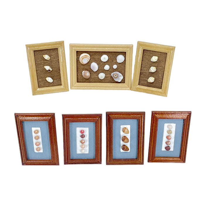 Laiki Rice Shell Ni'ihau Hawaii Miniature Tan Wood Display Frame Collectable Handmade